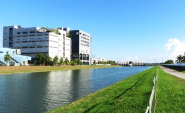 Zouping Mingyuan Imp Exp Trade Co Ltd.